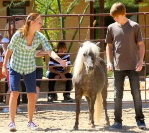 pet therapy or animal assisted therapy case study, youths with little poney horse