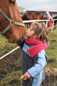 girl kissing horse, horse assisted therapy