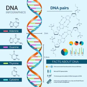 facts on dna