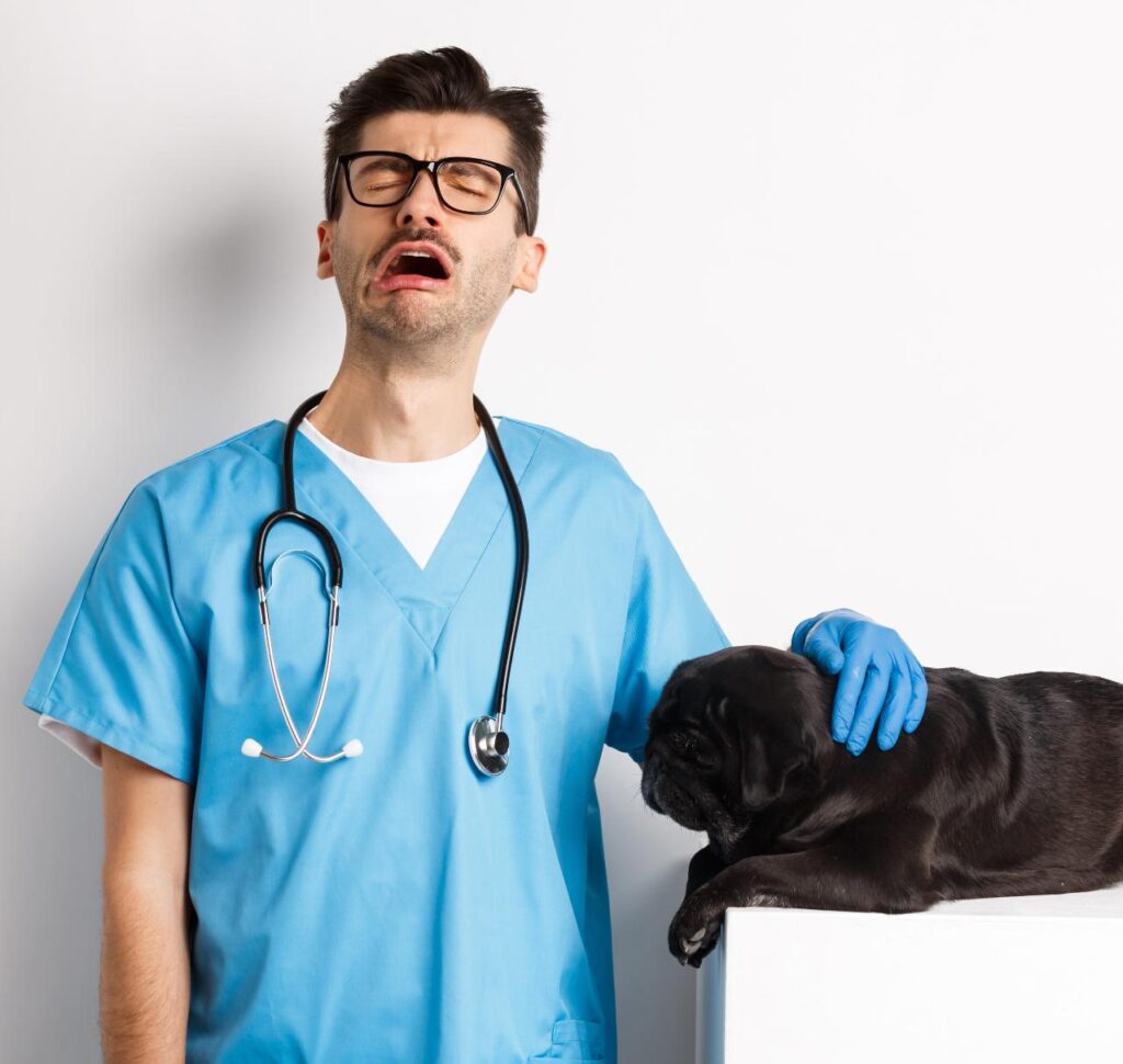 tired veterinarian in uniform with a dog is it worth being a vet?
